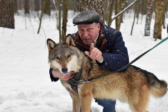 Поющие Волки