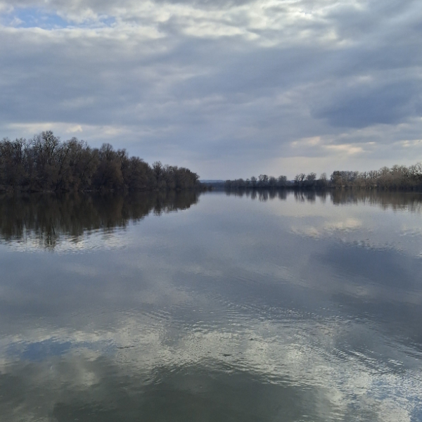 Зевс Проскурин