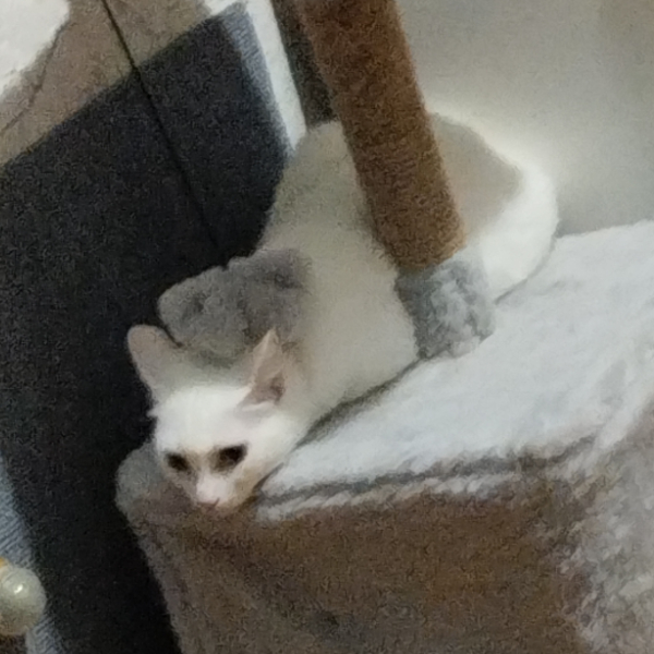 Ёмик