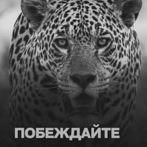 Аркадий