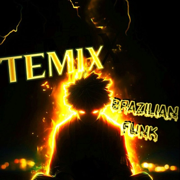 TEMIX