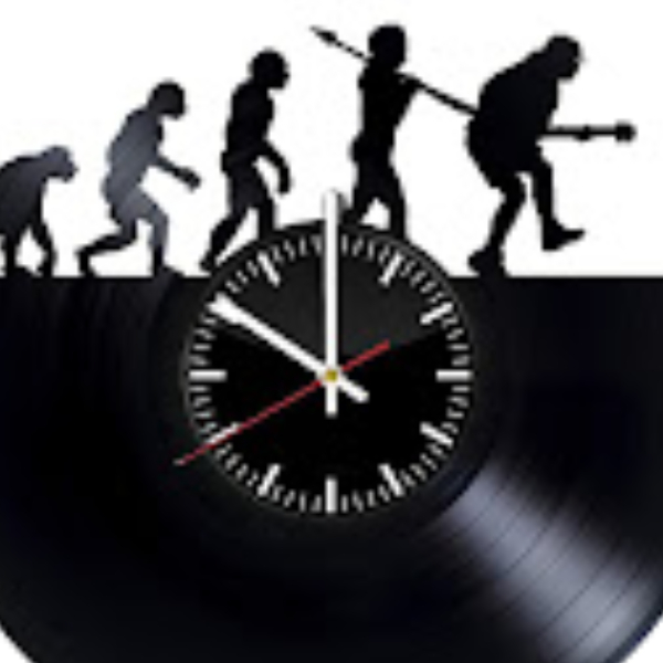 Music Evolution