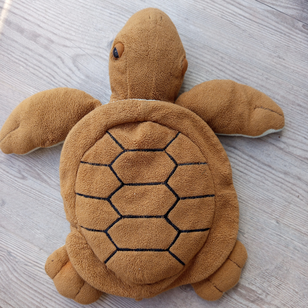 The Sleepy Turtle