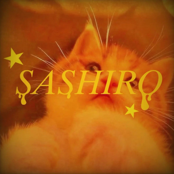 Sashik