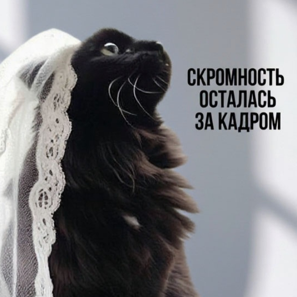 Алёна