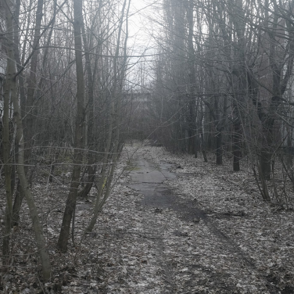 Санёк
