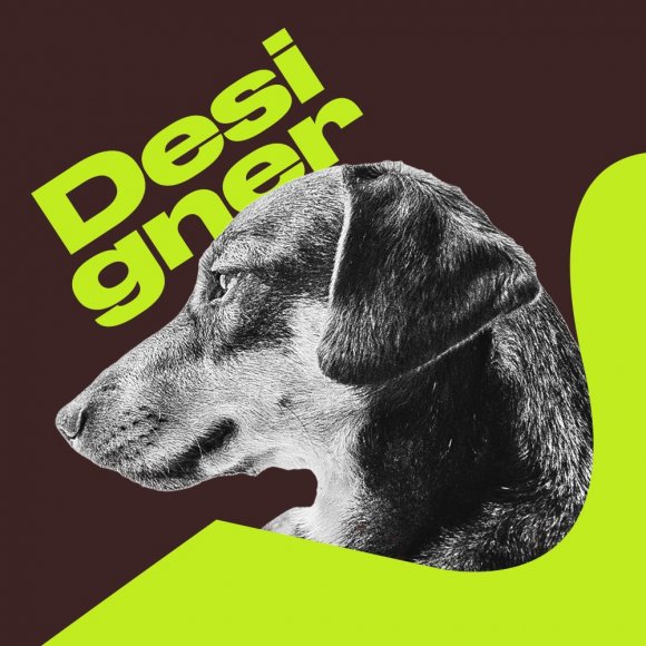 Desi Gner