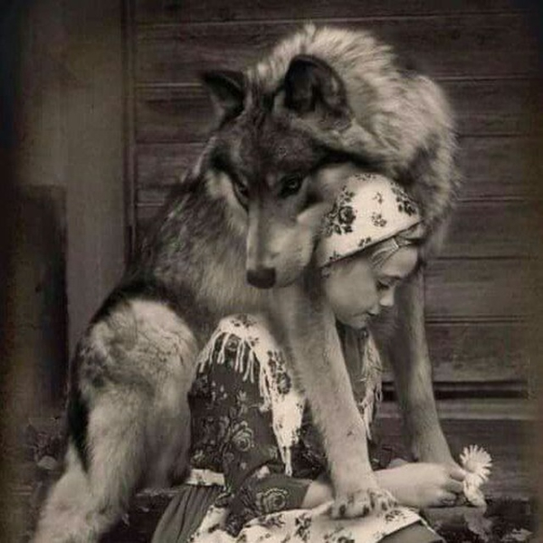 Алексей MUL-TECH