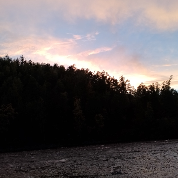 Жизнь в руках