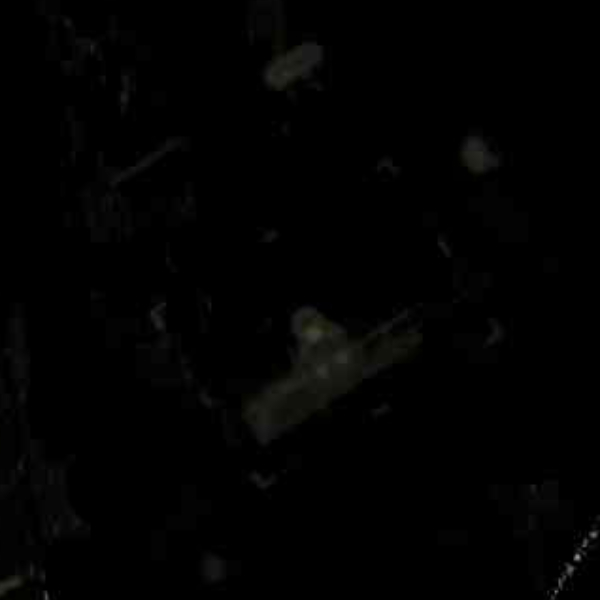 A Samurai has no goa