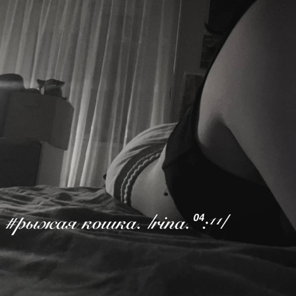 #рыжая кошка 