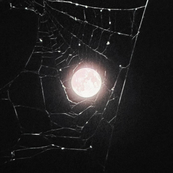 Мертвая Луна