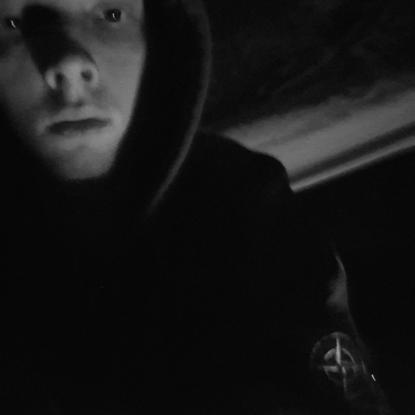 Новгородский