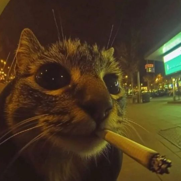 Доза грешников