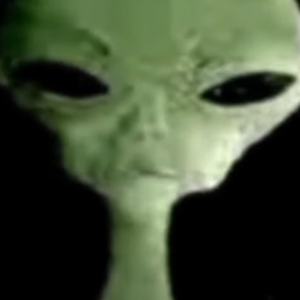 ponos_dinozarv
