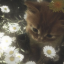 HE KTO