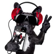 SARYCHMUSIC