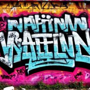 MAFFIN