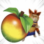 DJ Bandicoot