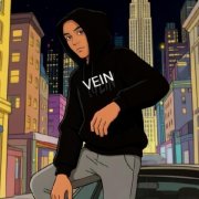 VEIN