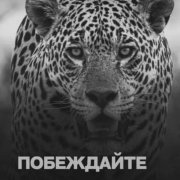 Аркадий
