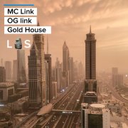 MC Link