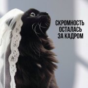 voter