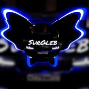 SurGleb