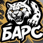Барс