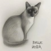 ВицеЙова