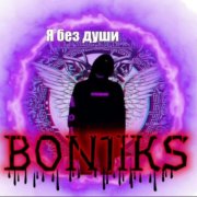 Bon1iks