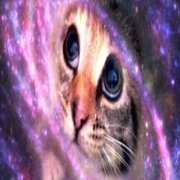 Школьная неженка