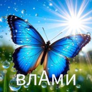 влАми