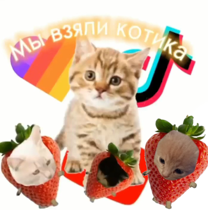 Обложка альбома