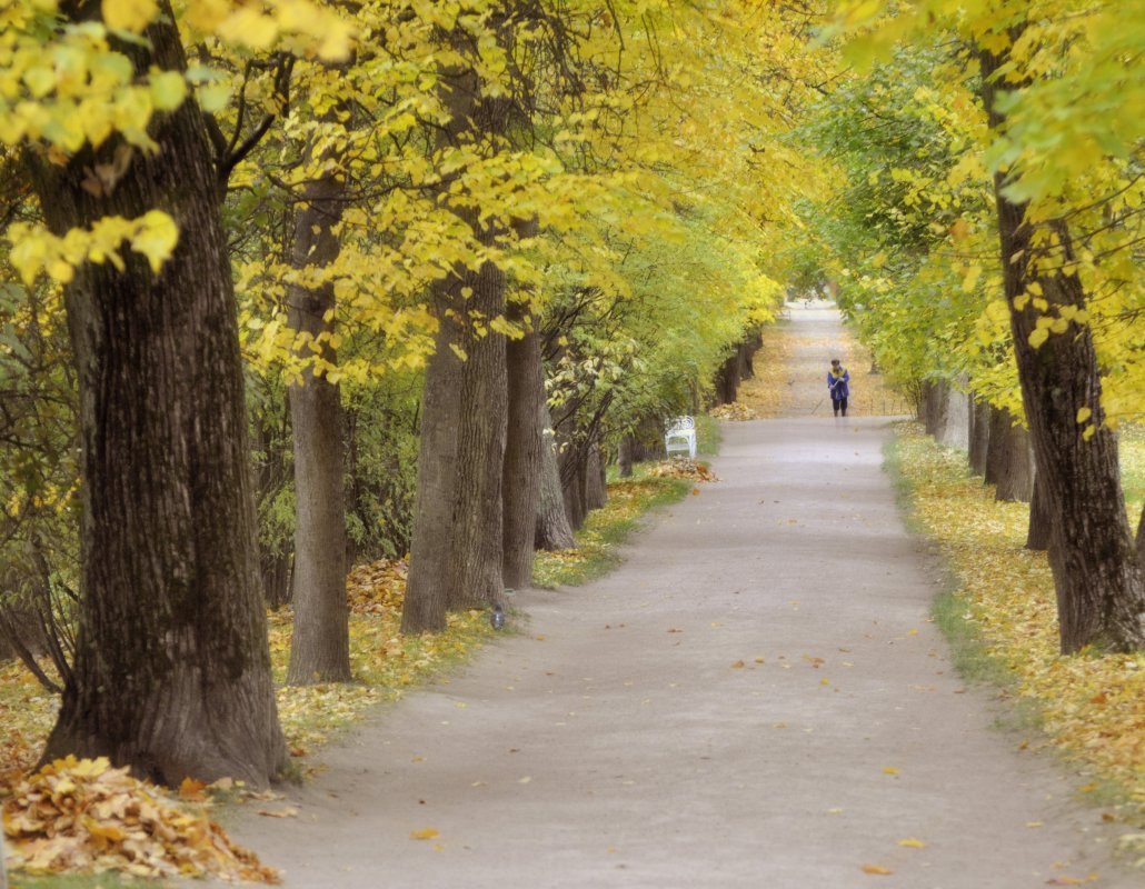 Обложка альбома