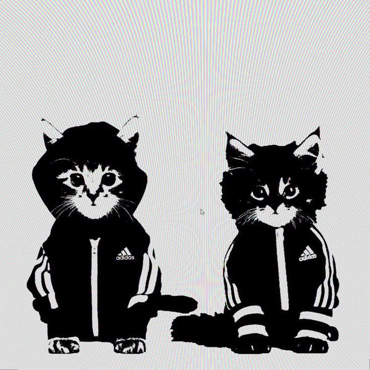 Обложка альбома