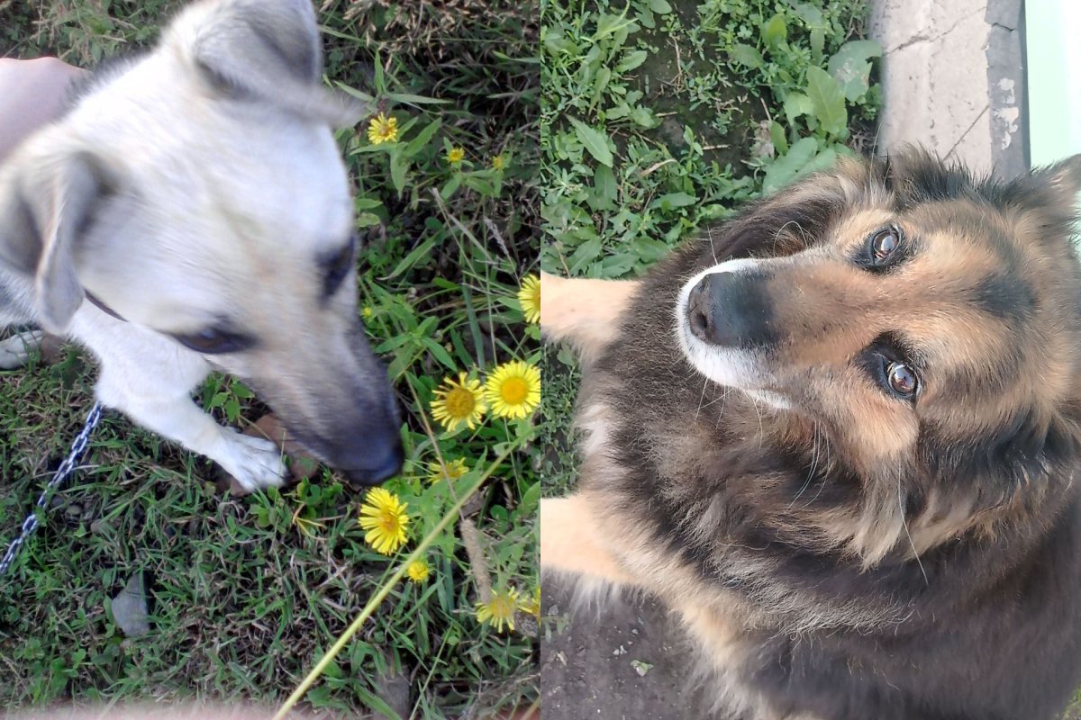 Обложка альбома