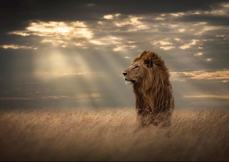 Обложка альбома