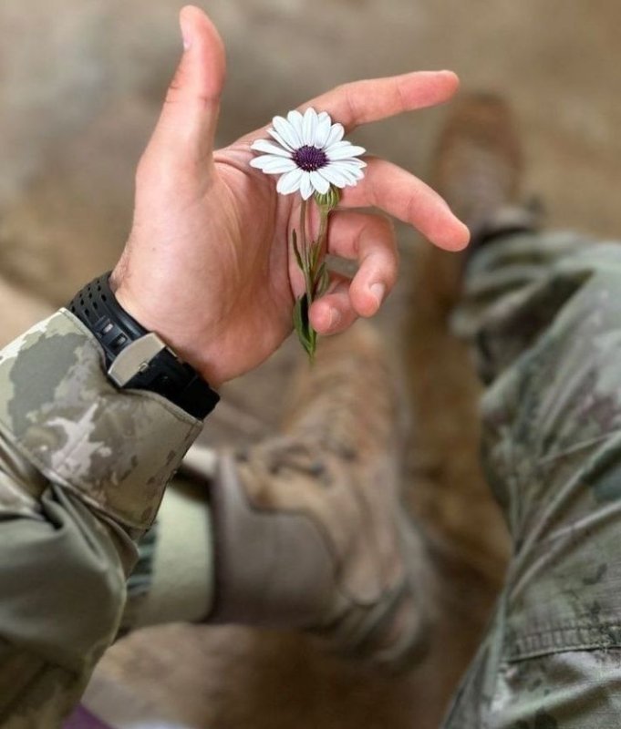 Обложка альбома