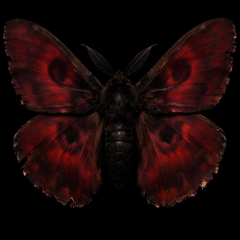 Обложка альбома