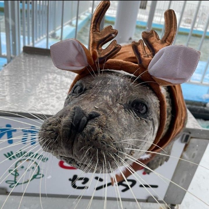 Обложка альбома