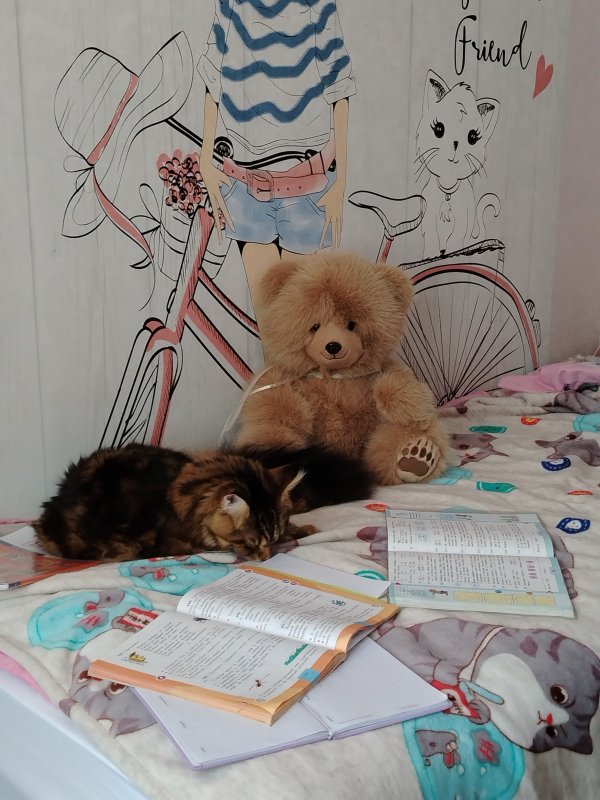 Обложка альбома