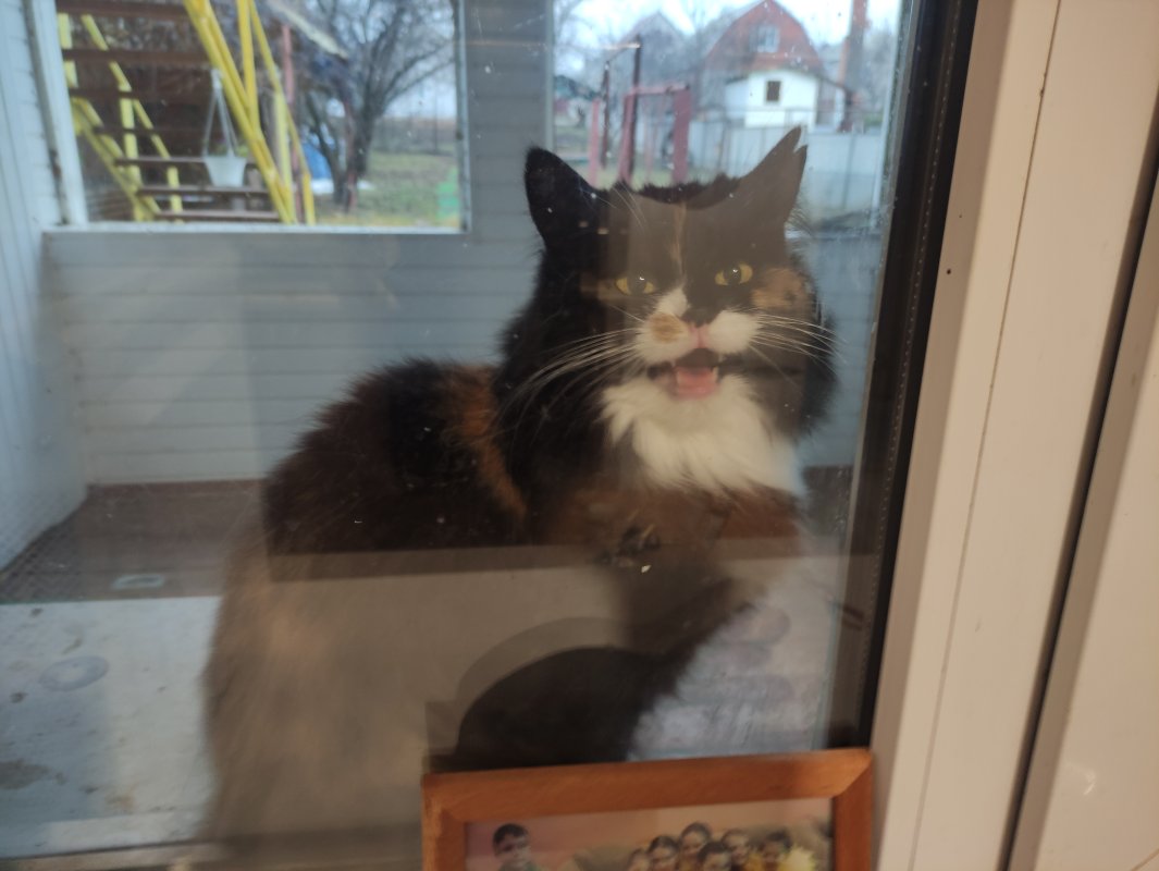 Обложка альбома