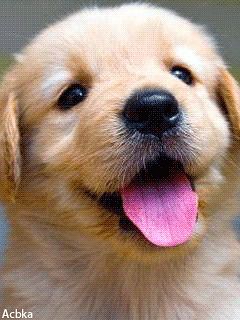 Обложка альбома