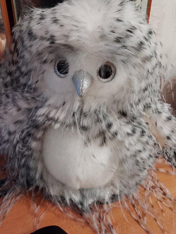 Обложка альбома