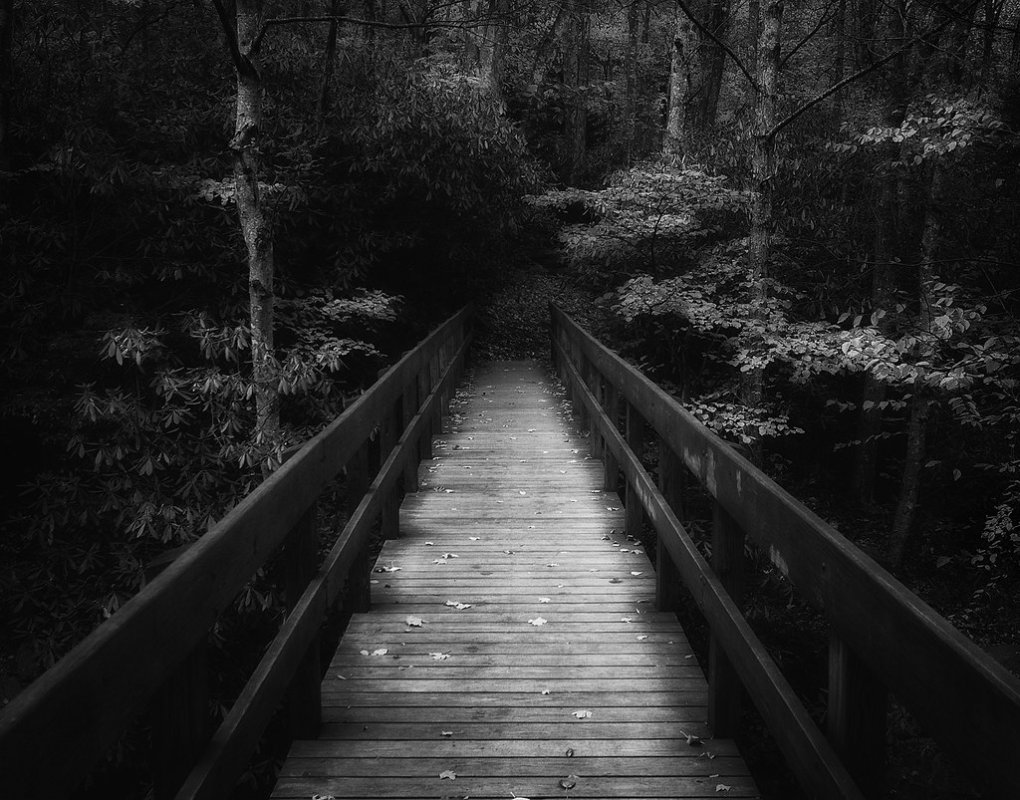 Обложка альбома