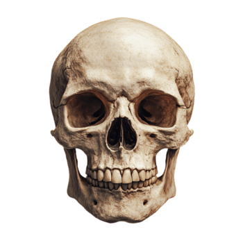 Обложка альбома