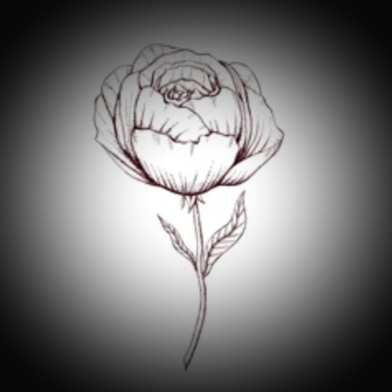 Обложка альбома