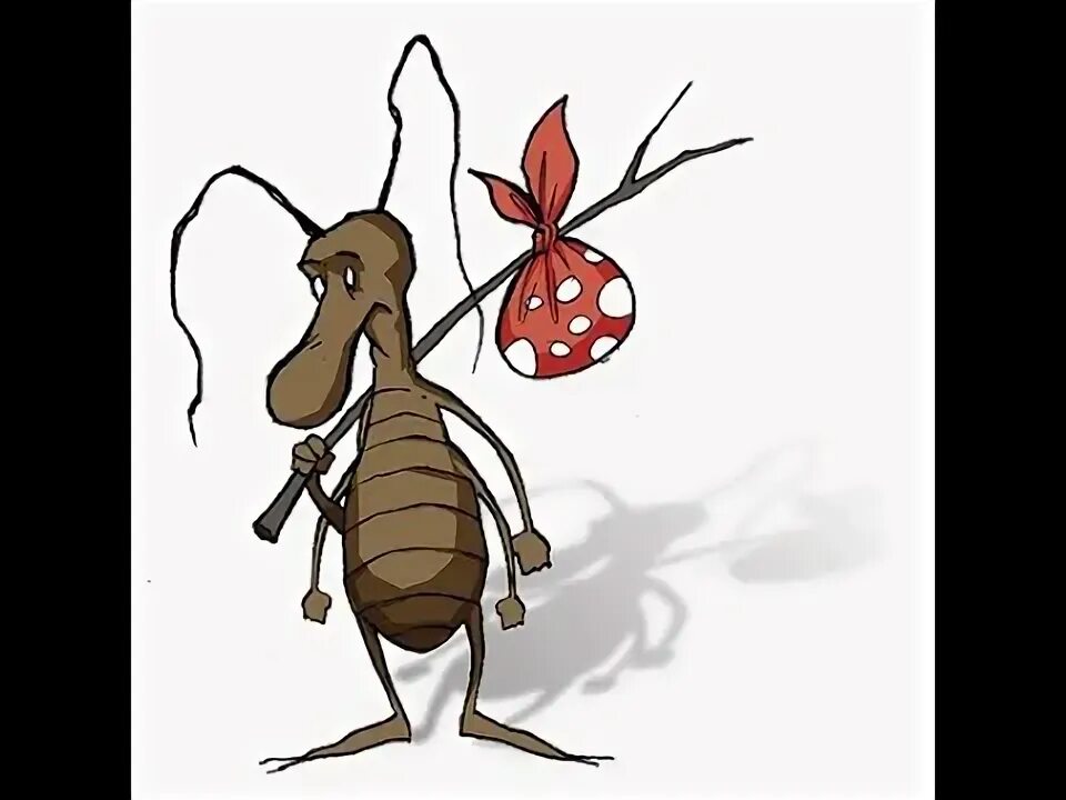 Обложка альбома