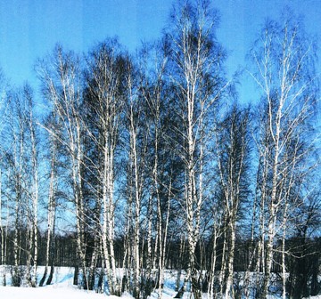 Обложка альбома